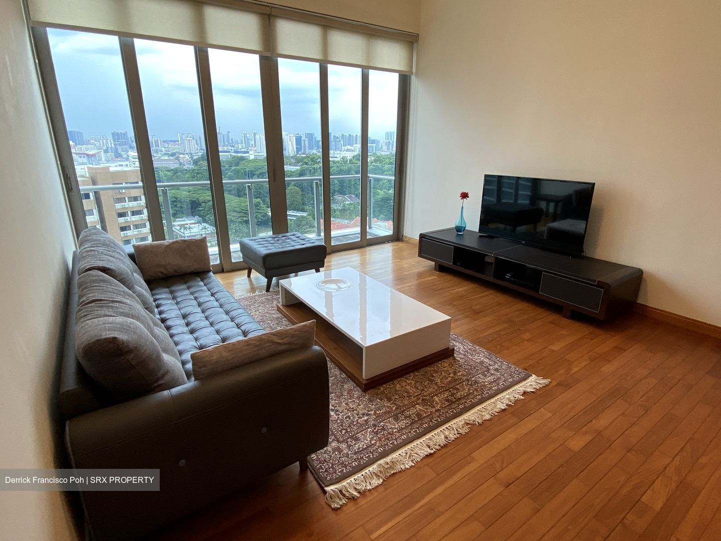 Cairnhill Crest (D9), Condominium #610239771